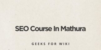 SEO Course In Mathura